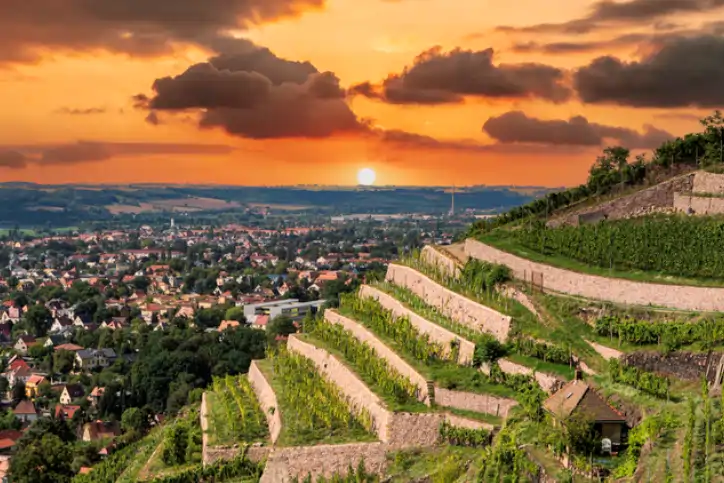 NEXTLVL STRATEGY unterstützt Unternehmen in Sachsen mit professionellem Webdesign, SEO und digitaler Unternehmensberatung.